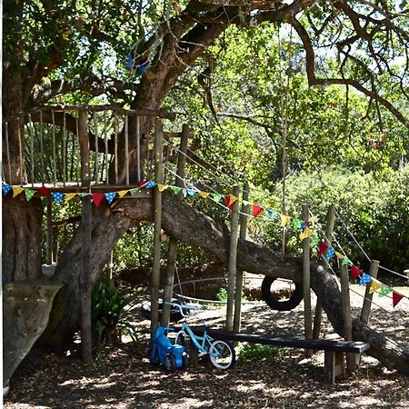 Shepherd'S Tree Backpackers Knysna Extérieur photo
