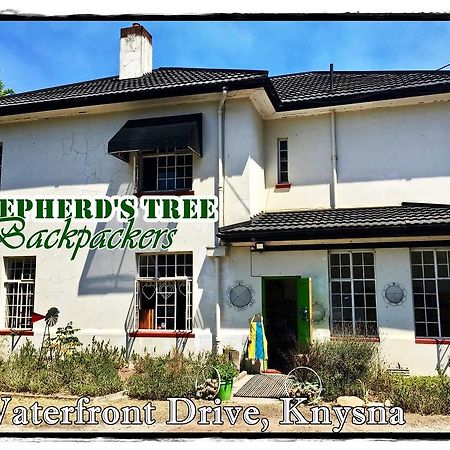Shepherd'S Tree Backpackers Knysna Extérieur photo