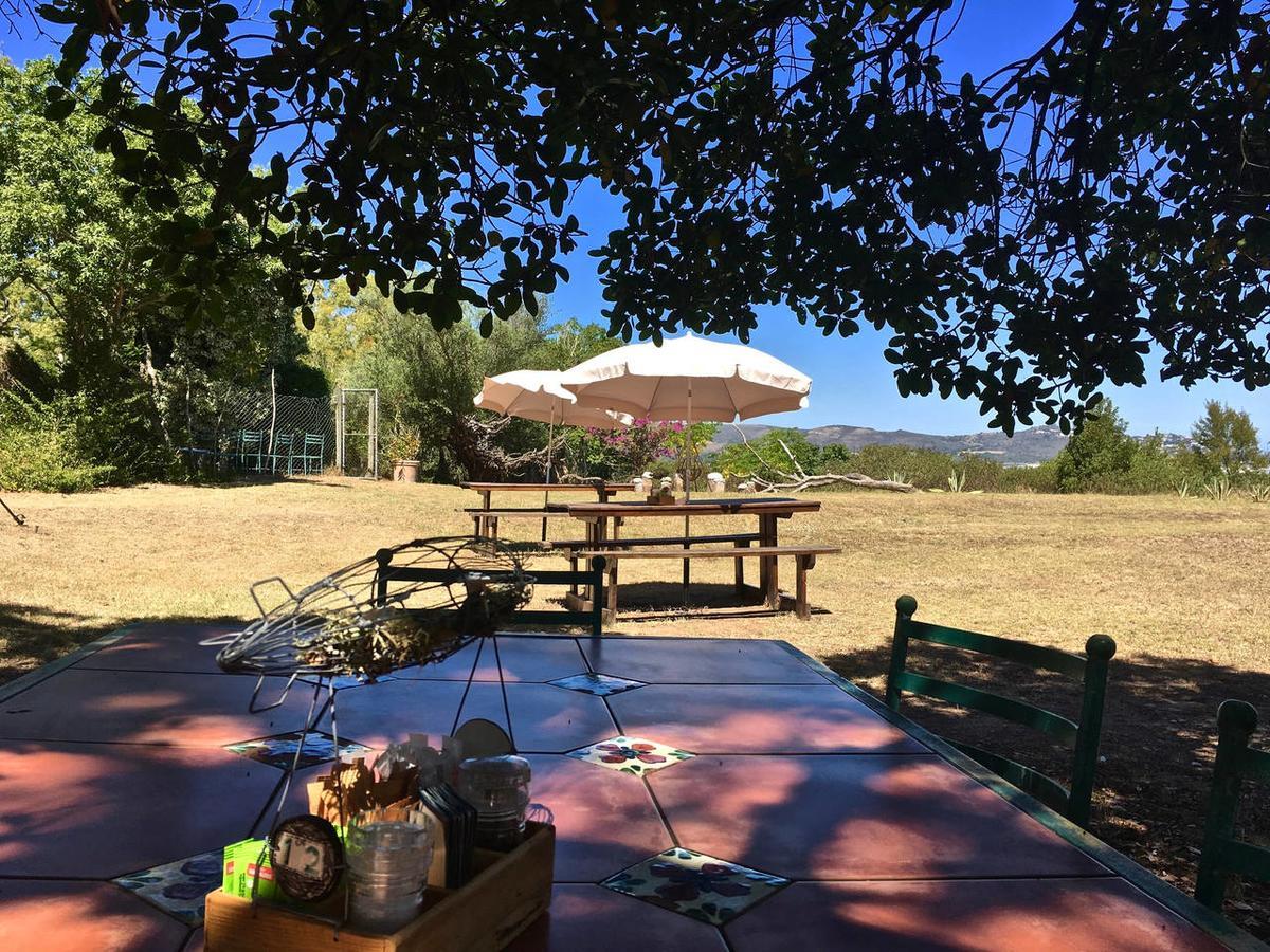 Shepherd'S Tree Backpackers Knysna Extérieur photo