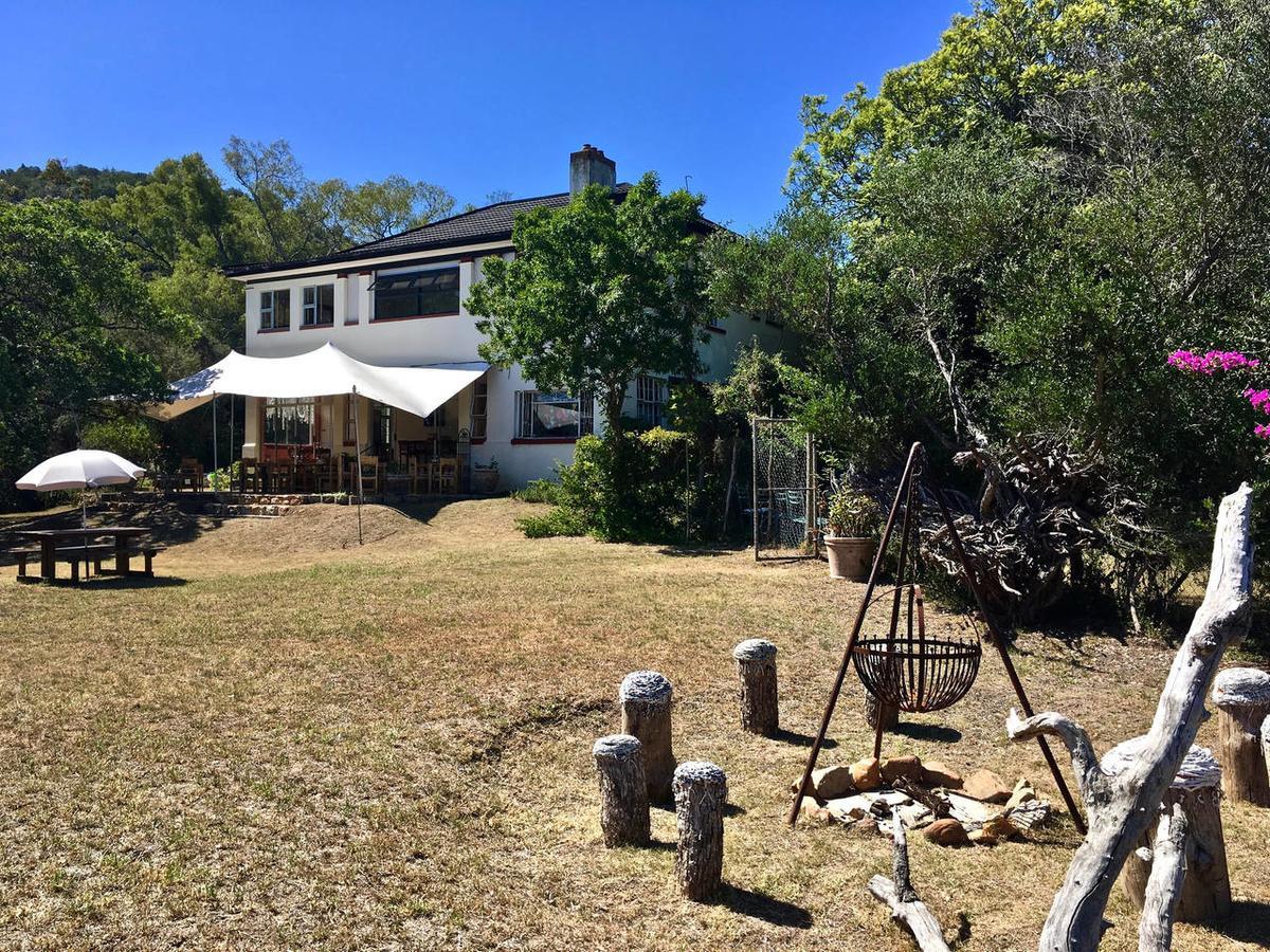 Shepherd'S Tree Backpackers Knysna Extérieur photo