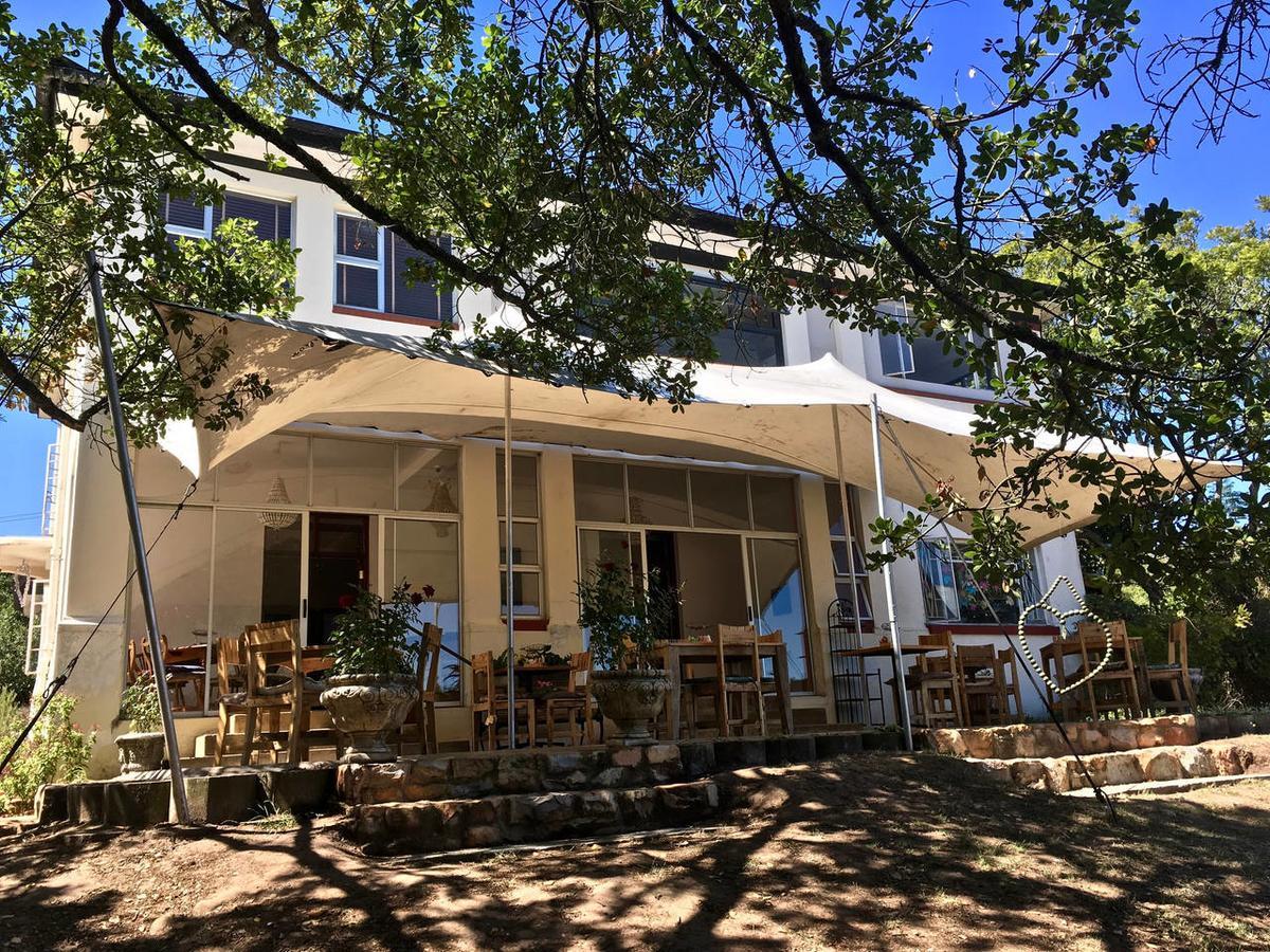Shepherd'S Tree Backpackers Knysna Extérieur photo