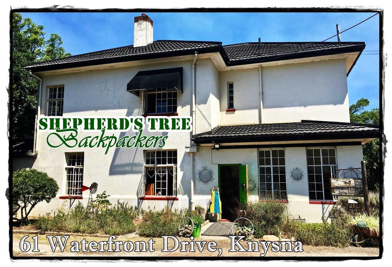 Shepherd'S Tree Backpackers Knysna Extérieur photo
