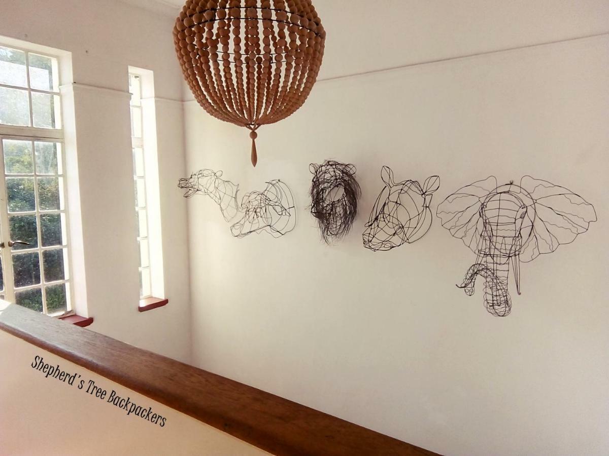 Shepherd'S Tree Backpackers Knysna Extérieur photo