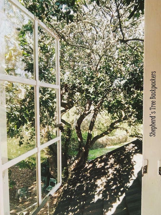 Shepherd'S Tree Backpackers Knysna Extérieur photo