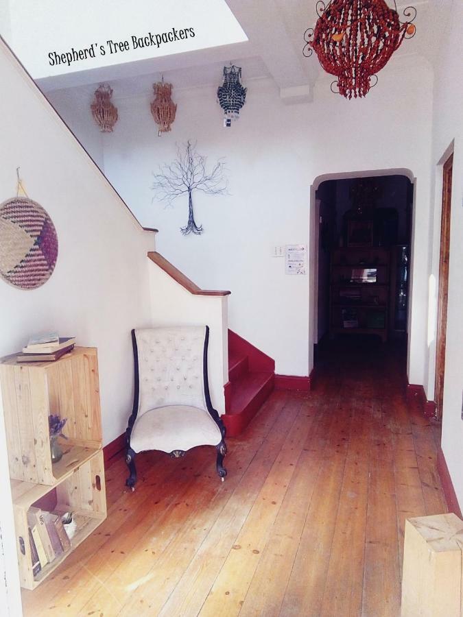 Shepherd'S Tree Backpackers Knysna Extérieur photo