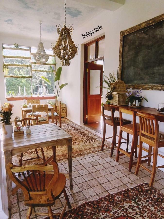 Shepherd'S Tree Backpackers Knysna Extérieur photo